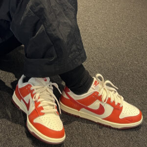 [HJ3491-161] Giày Nike Dunk Low ‘Cosmic Clay’